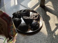 Ashtabandhana Pratishtha (30 Jan 2026) 